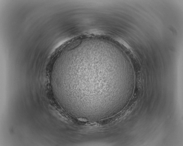 X0000112111112200908181341