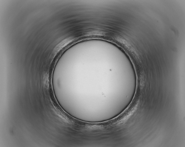 X0000112111113200908181341