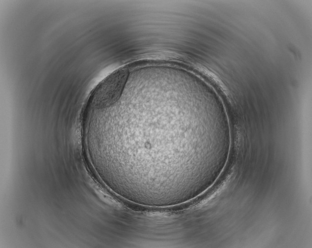 X0000112111114200908181341