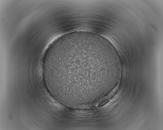 X0000112111115200908181341