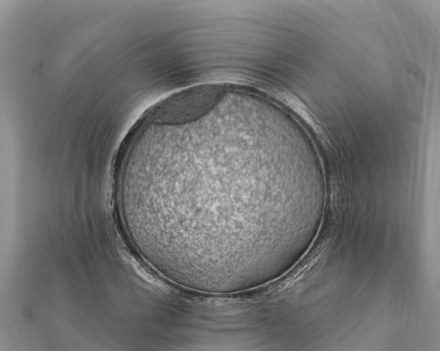 X0000112111116200908181341