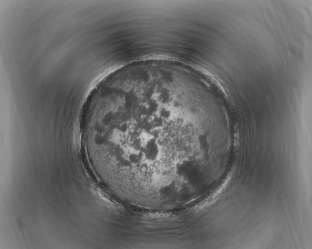 X0000112111117200908181341