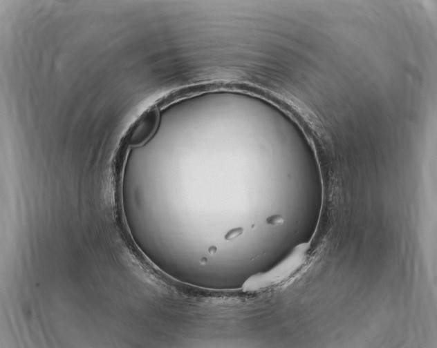 X0000112111118200908181341