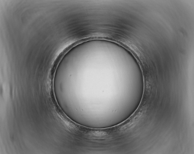 X0000112111119200908181341