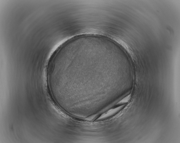 X0000112111120200908181341