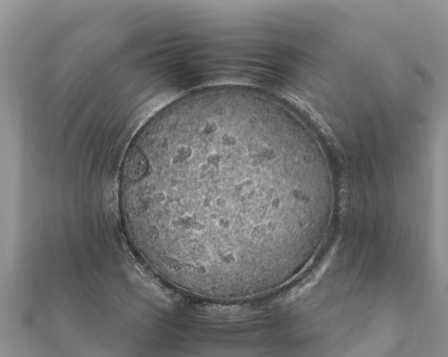 X0000112111121200908181341