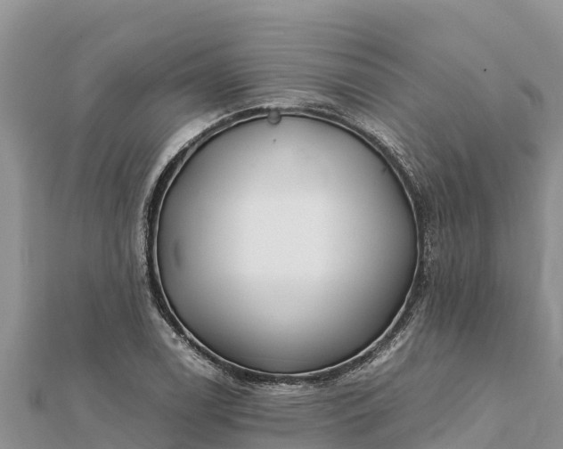 X0000112111122200908181341