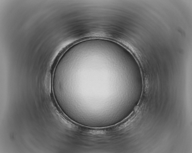 X0000112111123200908181342