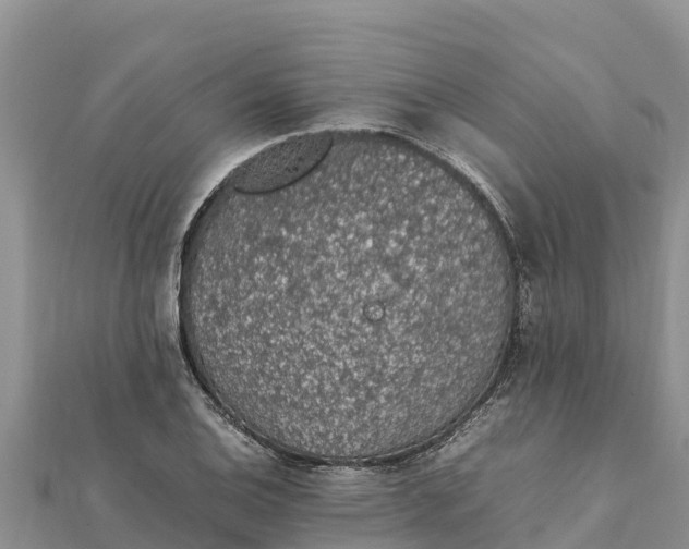 X0000112111124200908181342