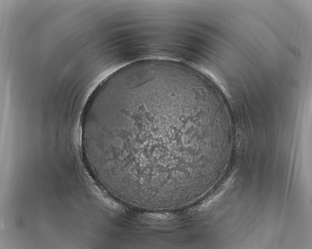 X0000112111125200908181342