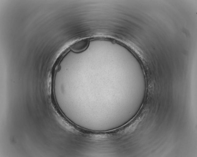 X0000112111126200908181342