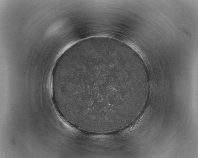 X0000112111127200908181342