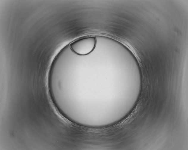 X0000112111128200908181342