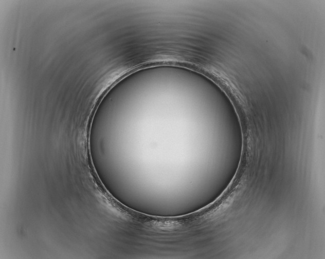 X0000112111129200908181342