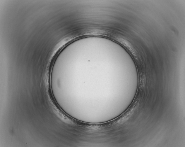 X0000112111130200908181342