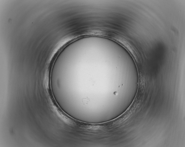 X0000112111131200908181342