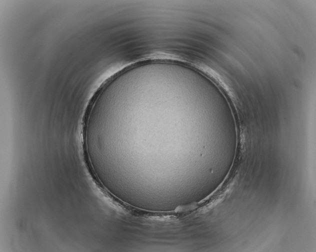 X0000112111133200908181342