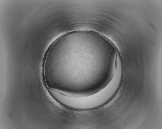 X0000112111134200908181342