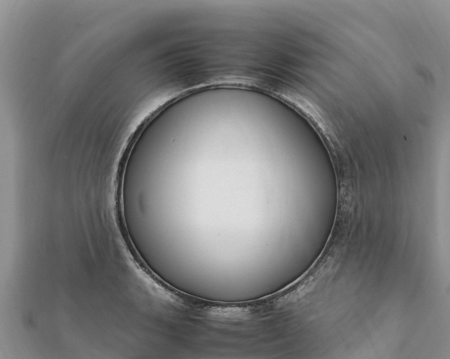 X0000112111135200908181342