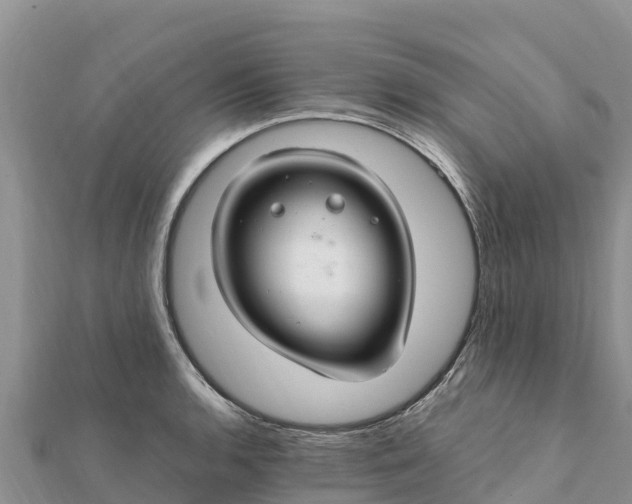 X0000112111136200908181342