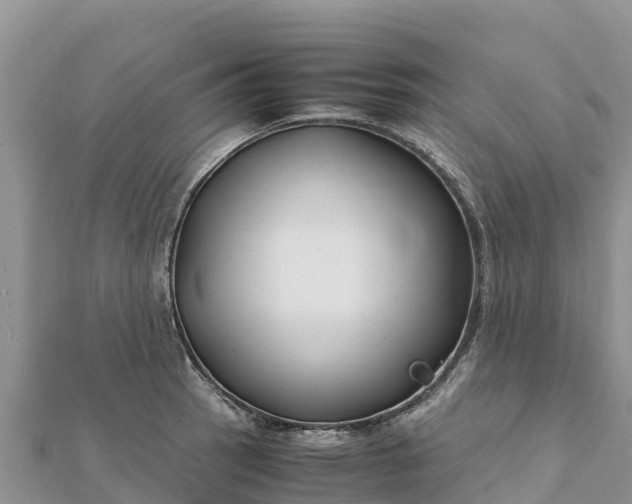 X0000112111137200908181342