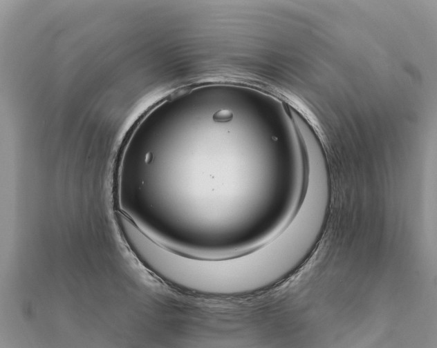 X0000112111138200908181342