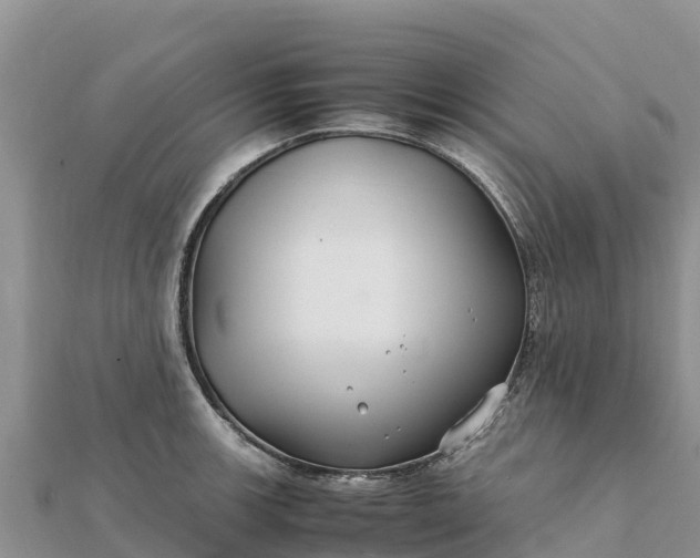 X0000112111139200908181342