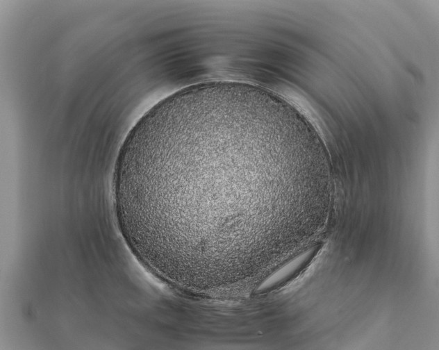 X0000112111141200908181342