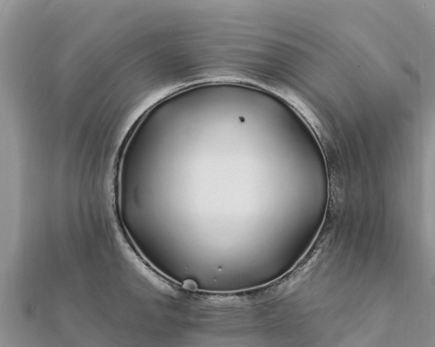 X0000112111142200908181342