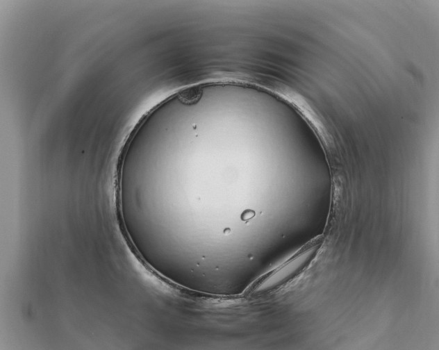 X0000112111143200908181342