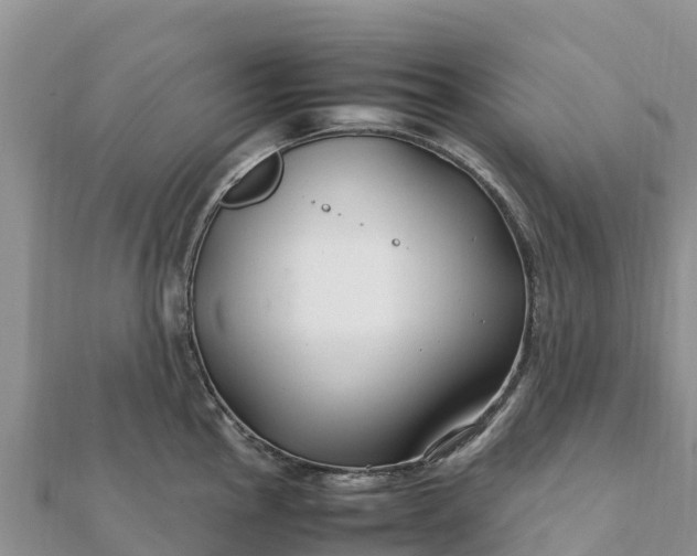 X0000112111145200908181342