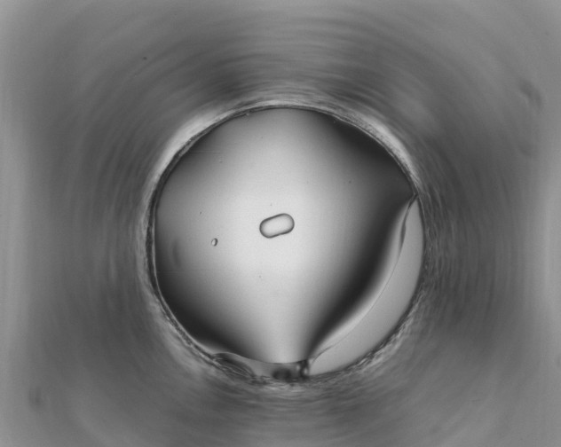 X0000112111146200908181342