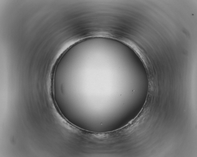 X0000112111147200908181342