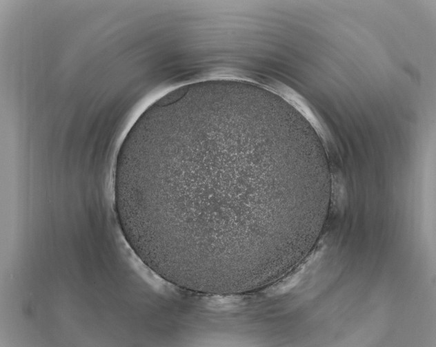 X0000112111148200908181342