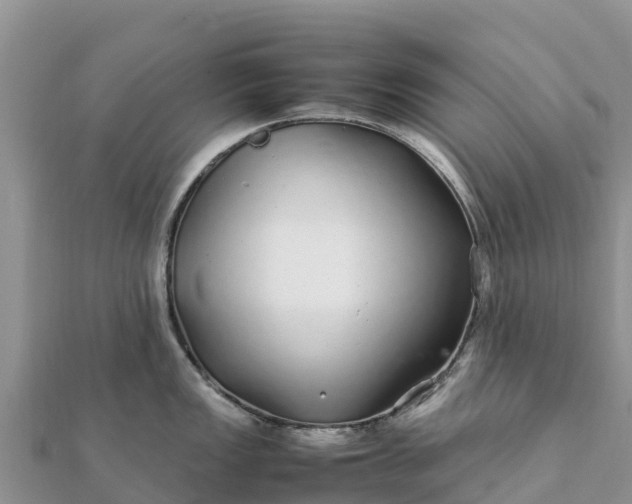 X0000112111149200908181342