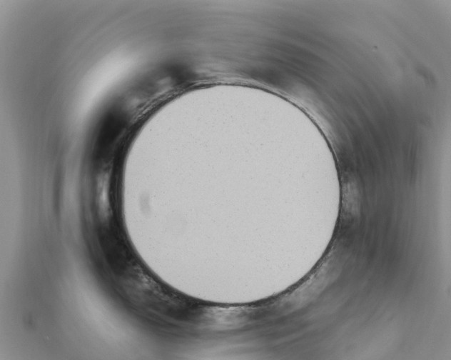 X0000112111150200908181342