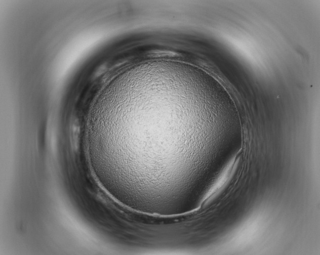 X0000112111151200908181342