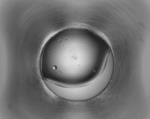 X0000112111152200908181342