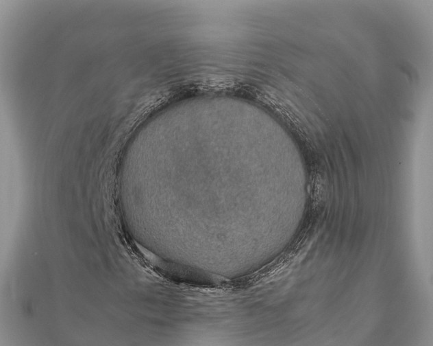 X0000112111153200908181341