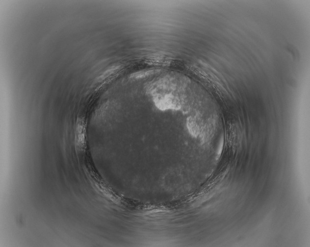 X0000112111154200908181341