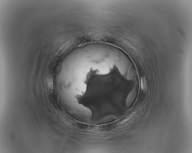 X0000112111155200908181341