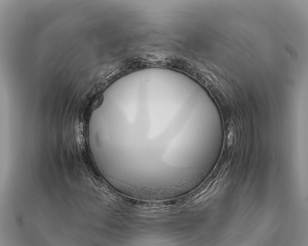 X0000112111156200908181341