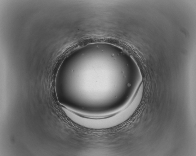 X0000112111157200908181341