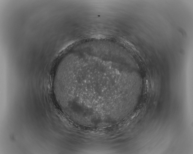 X0000112111158200908181341