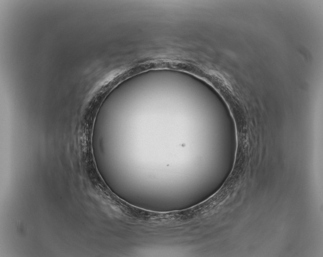 X0000112111159200908181341