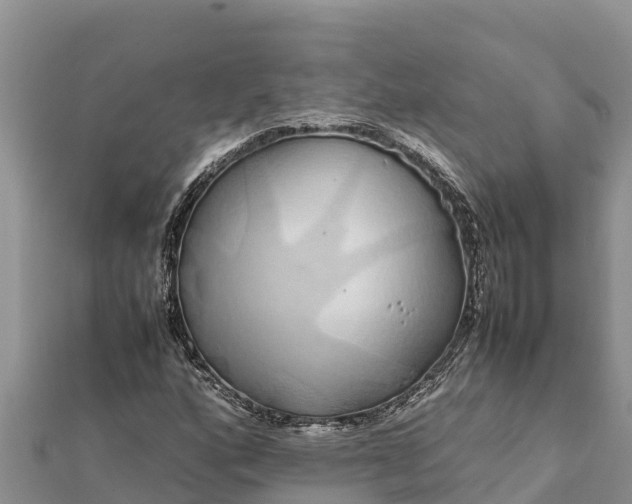 X0000112111160200908181341