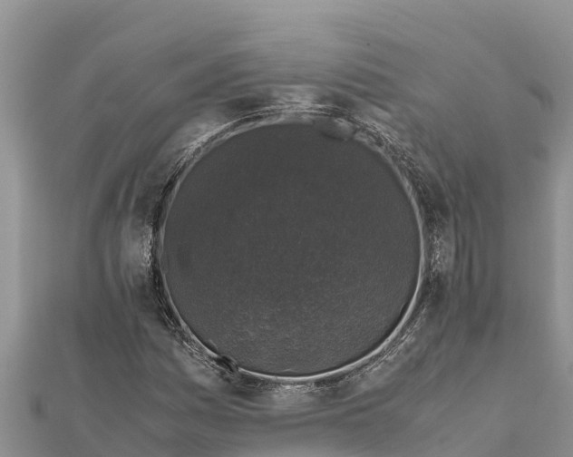 X0000112111161200908181341