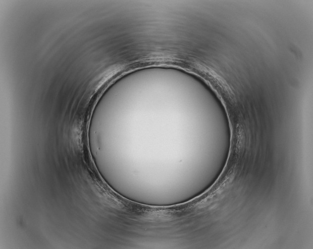 X0000112111162200908181341