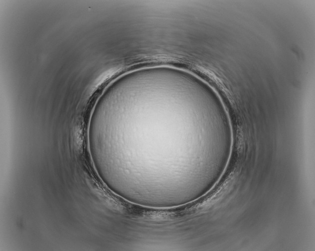 X0000112111163200908181341