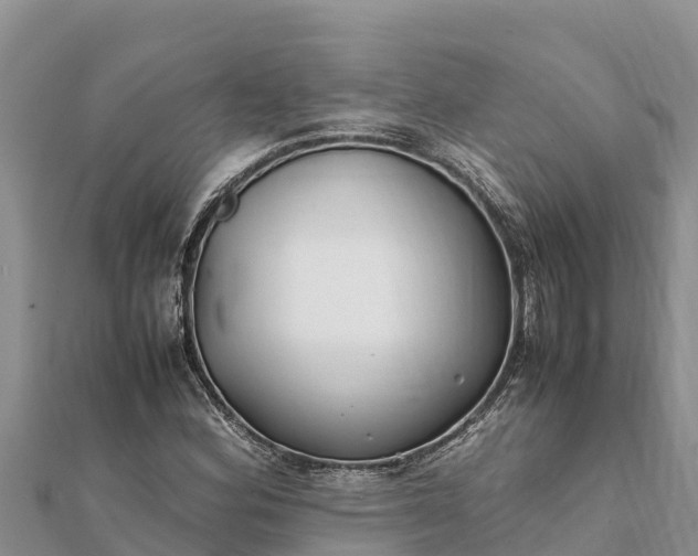 X0000112111164200908181341